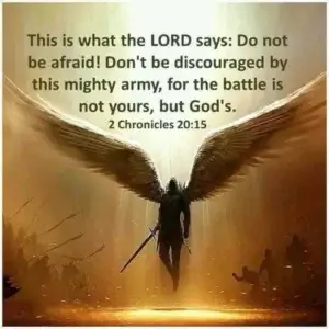 Smart Choice Systems-Mammoth Marketplace